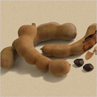 ¡Viva El Tamarindo!